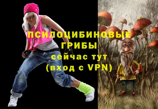 марки lsd Абаза