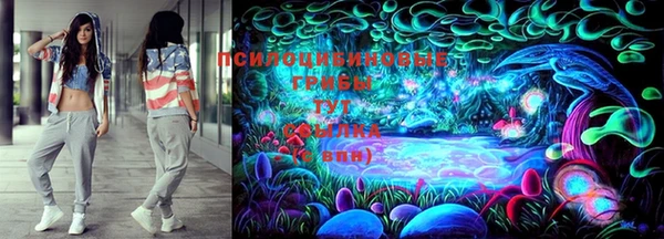 марки lsd Абаза