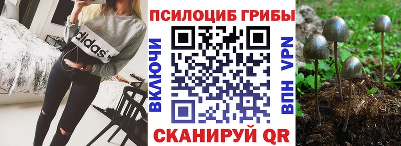 Галлюциногенные грибы Magic Shrooms  Сарапул 